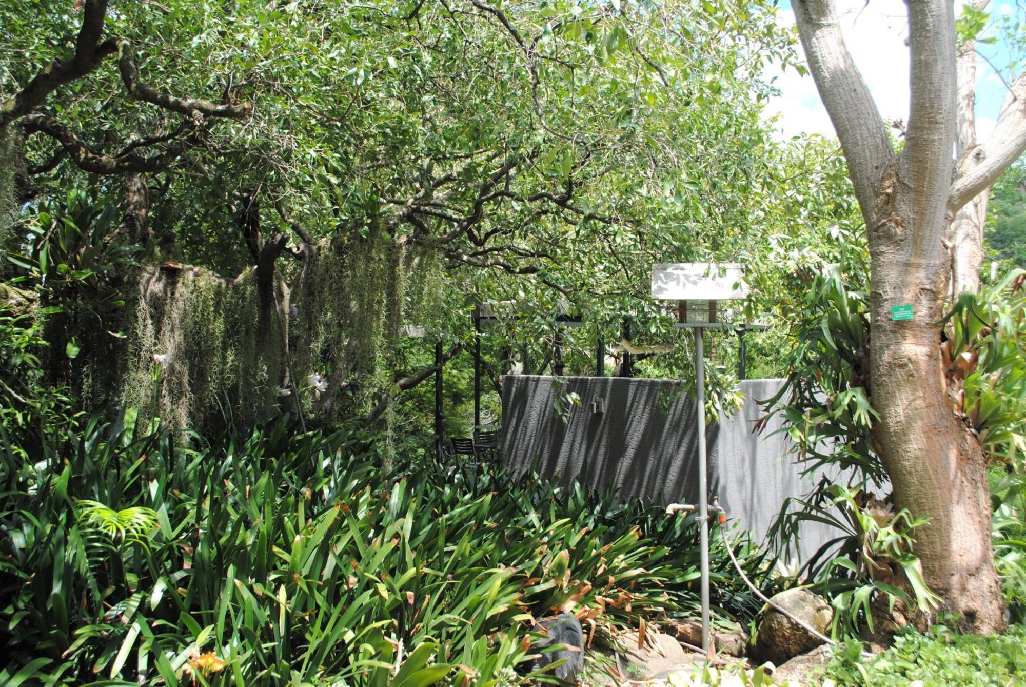 Birds Babble Self Catering Hotel Mbombela Kültér fotó